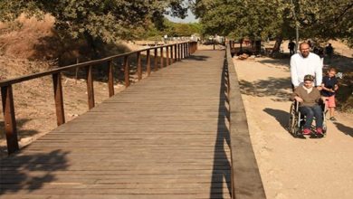 Fotoğrafta doğa içerisinde yer alan bir yürüyüş yolu görülüyor. Sol tarafta, ahşap malzemeden yapılmış, yanlarında korkulukları bulunan geniş ve düz bir yürüyüş platformu bulunuyor. Sağ tarafta ise toprak bir patika uzanıyor. Patika üzerinde bir adam, tekerlekli sandalyedeki bir bireyi itiyor; yanlarında küçük bir çocuk da yürüyor. Yolun iki yanında ağaçlar gölge oluşturmuş. Havanın güneşli ve sıcak olduğu anlaşılıyor. Ortam sakin, doğal ve erişilebilir bir gezi yolunu yansıtıyor.
