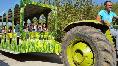Engelliler ve aileleri yeşil renkli üstü kapalı oturma yerleri olan traktör ile park gezisi yapıyor.
