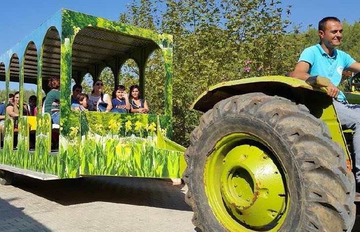 Engelliler ve aileleri yeşil renkli üstü kapalı oturma yerleri olan traktör ile park gezisi yapıyor.