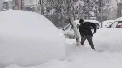 Kar kaplı yolu açmaya çalışan bir kişi elindeki kürekle etraftaki karı kenara doğru atıyor.