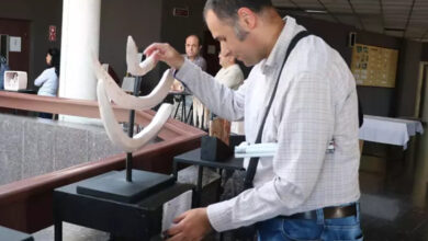 Görme engelli birey sergideki eseri braile alfabesi ile yazılan açıklama ve esere dokunarak inceliyor.