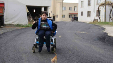 Akülü tekerlekli sandalye kullanan engelli birey, asfaltlanmış yolun ortasında durarak kameraya doğru bakıyor.