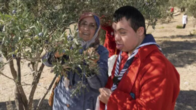 Down sendromlu engelli birey, zeytin ağaçlarının olduğu bir yerde annesinin yardımıyla birlikte zeytinleri topluyor ve elindeki poşete dolduruyor.
