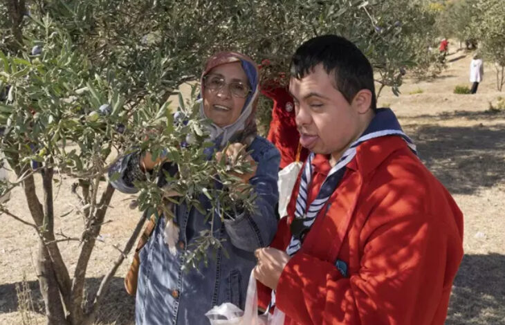 Down sendromlu engelli birey, zeytin ağaçlarının olduğu bir yerde annesinin yardımıyla birlikte zeytinleri topluyor ve elindeki poşete dolduruyor.