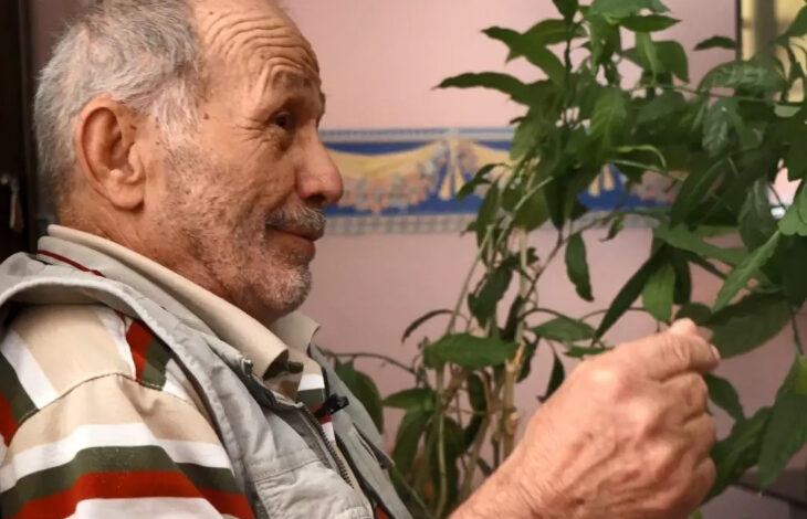 Fotoğrafta, yaşlı bir birey koltukta oturuyor ve elini yukarı doğru biraz kaldırarak bir şey istiyor.