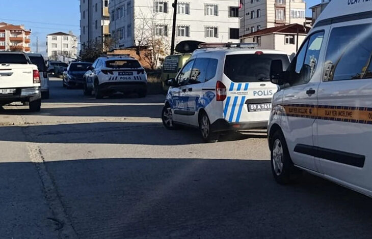 Fotoğrafta, bir sokakta park halinde olan birçok otomobil var. Park halinde olan otomobillerin bazıları polis aracı ve arka arkaya üç polis aracı yolun kenarında duruyor.