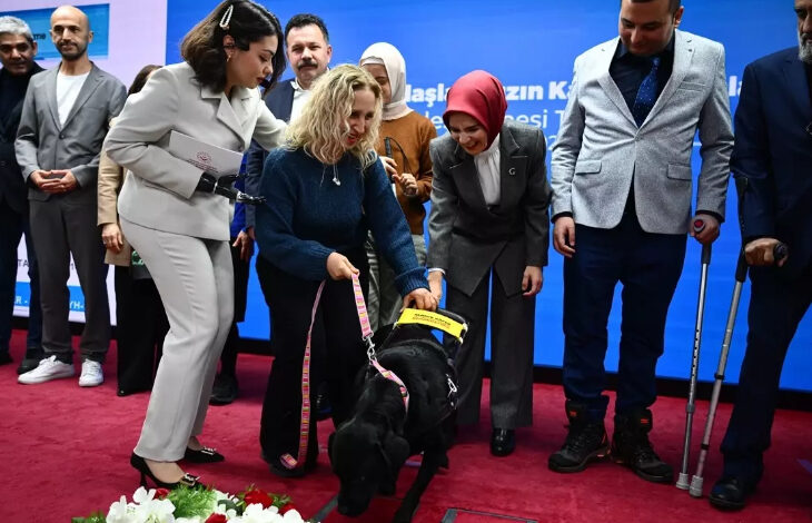 Fotoğrafta, Aile ve Sosyal Hizmetler Bakanı Mahinur Özdemir Göktaş, Görme engelli bir bireyin rehber köpeğini seviyor. Göktaş'ın çevresinde baston ile ayakta duran başka engelli bireyler ve bir eli protez olan engelli bir kadında sahnede yer alan köpeğin yakınında ayakta duruyor.