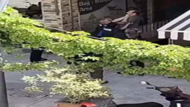 ChatGPT: Görselde, Amasya'nın Merzifon ilçesinde bir sokak görüntüsü yer almakta. Ön planda yeşil sarmaşıklarla kaplı bir yapı dikkat çekiyor. Görselin merkezinde, engelli olduğu anlaşılan bir kişi ile zabıta üniformalı bir görevli arasında fiziksel bir arbede yaşanıyor. Zabıta görevlisi, engelli bireyin boğazına sarılmış gibi görünüyor. Etrafta olaya tanık olan birkaç kişi daha var.