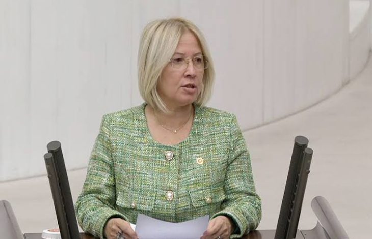 CHP Tekirdağ Milletvekili Nurten Yontar, Türkiye Büyük Millet Meclisinde konuşma yaparken görselde yer aldığı anlaşılmaktadır.
