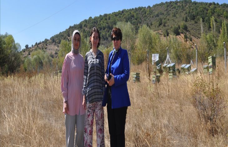 Görselde, açık arazide üç kadın yan yana duruyor. Arkada yeşil ağaçlık bir yamaç ve arı kovanları görülüyor. Kadınlardan biri açık renk başörtüsü ve pembe tunik giymiş, ortadaki desenli gömlek ve çiçek desenli pantolon, sağdaki ise mavi ceket ve güneş gözlüğü takmış. Fotoğraf, kırsal bir alanda çekilmiş.