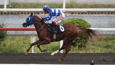 Jokey Vedat Abiş idaresinde 6 numaralı Mavi Şafak pistte koşuyor.