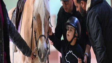 Bir kapalı alanda, kask takmış küçük bir çocuk bir atın yanında duruyor. Yanında bulunan iki yetişkin, çocuğu dikkatle yönlendirirken biri atın başını tutuyor. Sahne sakin ve odaklı; terapi amaçlı bir etkinlikte güven ve temas ön planda.