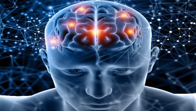 Dijital ve futuristik bir tasarımda, yarı saydam bir insan başı ve beyin görselleştirilmiş. Beynin farklı bölgelerinde turuncu-kırmızı ışık noktaları parlıyor. Arka planda mavi tonlarda ağ yapıları ve bağlantı çizgileri yer alıyor. Görsel, beyin aktivitelerini, sinirsel bağlantıları ve zihinsel süreçleri simgeleyen teknolojik bir illüstrasyon niteliğinde.