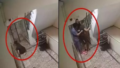 Görsel, iki ayrı güvenlik kamerası karesinden oluşuyor. Her iki karede de kırmızı bir daire içinde merdiven boşluğu görülüyor. İlk karede bir kişinin merdivenlerde oturur ya da çömelir halde olduğu dikkati çekiyor. İkinci karede ise aynı noktada üç kişinin bir arada durduğu, ortadaki kişiye destek verildiği anlaşılıyor. Merdiven kenarında bir engelli asansörü veya taşıma cihazı bulunduğu görülüyor. Kareler, kapalı bir apartman içi koridorunda kaydedilmiş izlenimi veriyor.