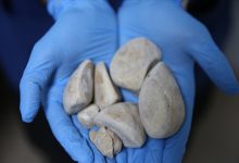 Mavi eldiven takılı avuç içinde, büyük taşlar bulunuyor.