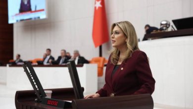 CHP Giresun Milletvekili Elvan Işık Gezmiş TBMM kürsüsünde konuşma yapıyor.
