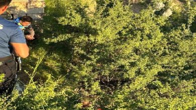 Görselde, yoğun bitki örtüsü ve dere yatağına benzer bir alanda bulunan bir kişiye ekiplerin müdahale ettiği görülüyor. Sol tarafta güvenlik görevlileri yer alırken, çalılıkların arasında kalan kişiye ulaşılmaya çalışılıyor. Olay bölgesi doğal ve engebeli bir arazi görünümünde.