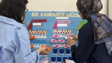 İki kişi renkli bir eğitim panosu önünde duruyor, kâğıt balıklarla etkileşimli bir çalışma yapıyor.