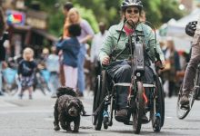 Fotoğrafta bir kişi tekerlekli sandalyesine takılı el bisikleti aparatıyla ilerliyor. Üzerinde yeşil bir mont, kask ve güneş gözlüğü var. Küçük siyah bir köpeği tasmasıyla yanında yürütüyor. Arka planda sokak boyunca yürüyen insanlar, bisiklet sürenler ve kurulu pazar tezgâhları görülüyor. Ağaçların bulunduğu, hareketli ve canlı bir açık alan atmosferi hâkim. Görsel, erişilebilirlik ve kapsayıcılığın günlük yaşamın içinde doğal bir şekilde yer aldığı, sosyal bir etkinlik ortamını yansıtıyor.