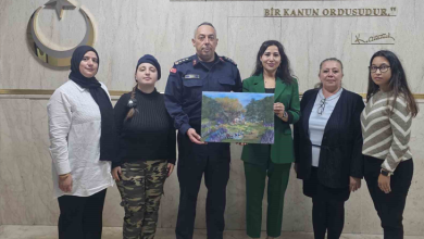 Görselde, kapalı bir mekanda yan yana duran altı kişilik bir grup yer almaktadır. Ortada askeri üniforma giymiş bir erkek ve yanında yeşil takım elbiseli bir kadın, ellerinde manzara resminin yer aldığı bir tabloyu birlikte tutmaktadır. Grubun diğer üyeleri ise onların yanında gülümseyerek poz vermektedir. Arka plandaki duvarda Atatürk'e ait bir yazı ve amblem yer almaktadır.