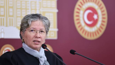 Görselde, mikrofonlar önünde konuşma yapan, kısa gri saçlı, gözlüklü ve boynunda şal bulunan bir kadın yer almaktadır. Arka planda ise Türkiye Büyük Millet Meclisi'nin amblemi ve binasına ait çizim detayları bulunmaktadır.